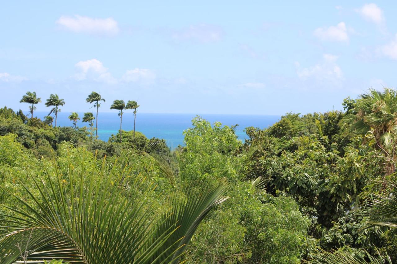 Villa Ecrin De Nature サント・ローズ エクステリア 写真